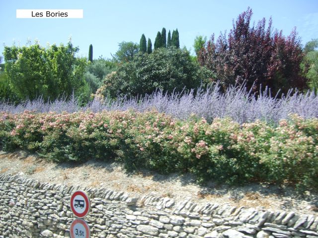 Provence12-441