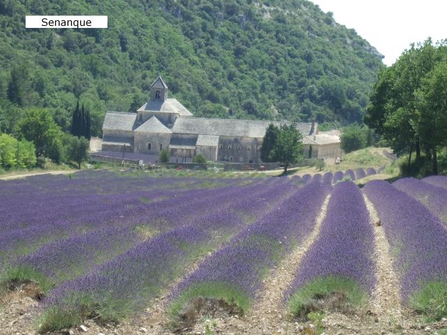 Provence12-453