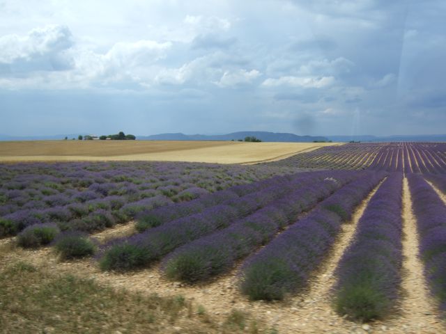 Provence12-455